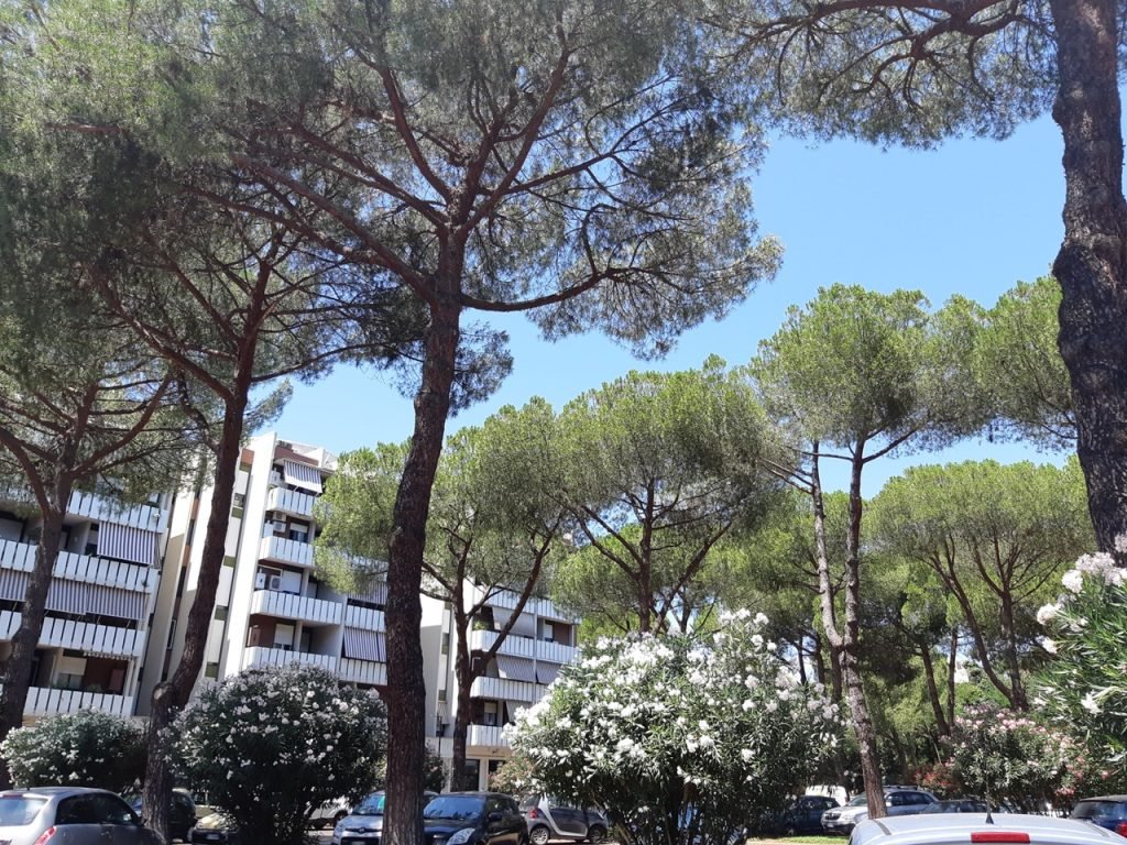 Negozio Via Del Forte Tiburtino Verderocca Roma