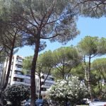 Negozio Via Del Forte Tiburtino Verderocca Roma