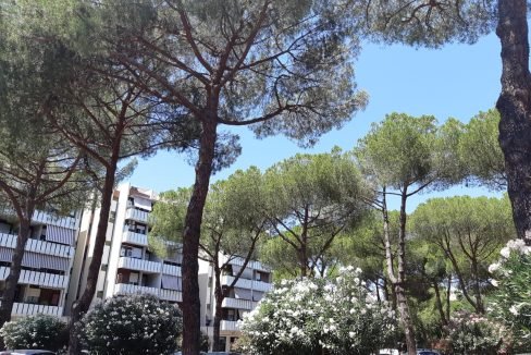 Negozio Via Del Forte Tiburtino Verderocca Roma