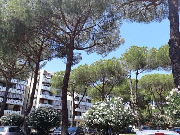 Negozio Via Del Forte Tiburtino Verderocca Roma Negozio Via Del Forte Tiburtino Verderocca Roma