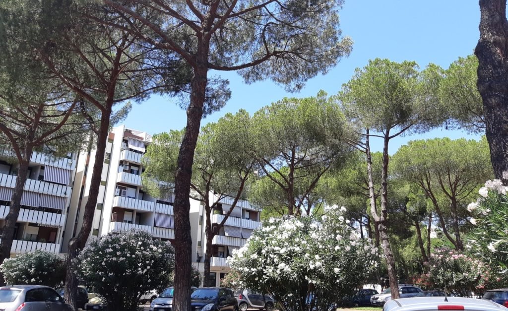 Negozio Venduto nel 2022 Verderocca – Via Del Forte Tiburtino