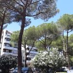 Negozio Venduto nel 2022 Verderocca – Via Del Forte Tiburtino