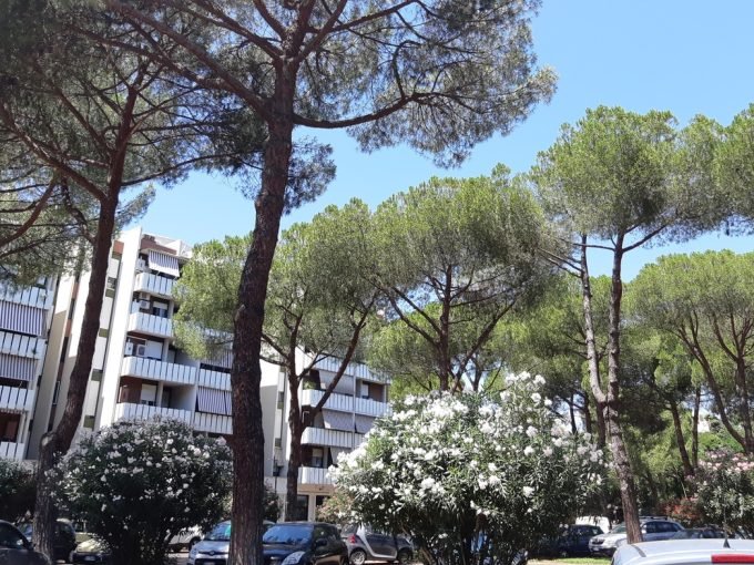 Negozio Venduto nel 2022 Verderocca – Via Del Forte Tiburtino Negozio Venduto nel 2022 Verderocca – Via Del Forte Tiburtino