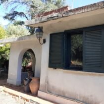 Sutri (VT) via delle Viole, Fontevivola