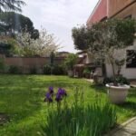 Campagnano, Poggio dell'Ellera