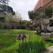 Campagnano, Poggio dell'Ellera